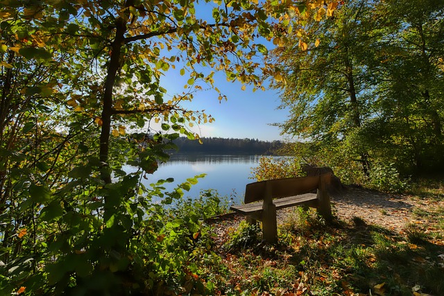 实的步伐 实的步伐