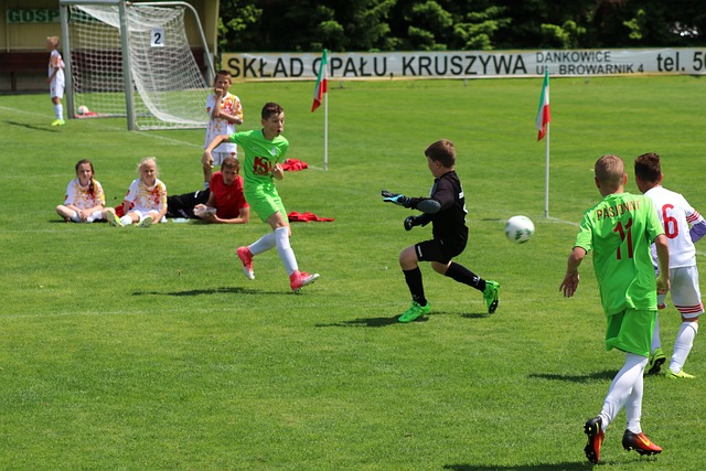 为其他队员 为其他队员