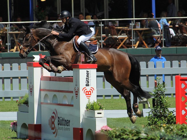 心理和体力 心理和体力