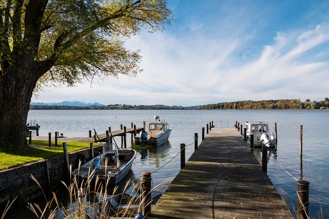 惊心动魄的 惊心动魄的