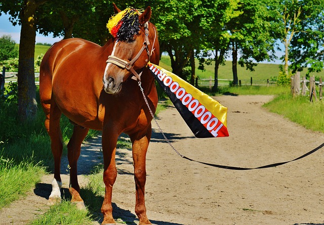 巴拿马拟终止中巴共建“一带一路”谅解备忘录 中方提出严正交涉.