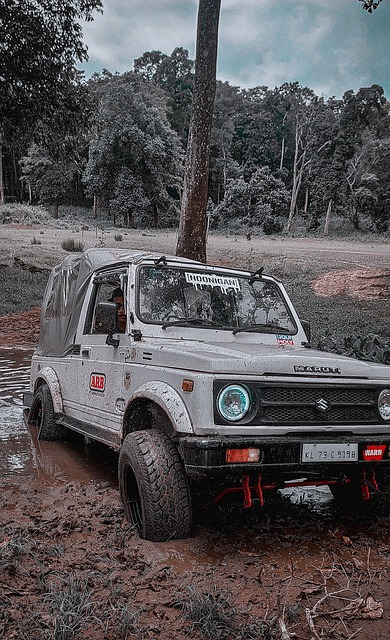 情与不屈不 情与不屈不