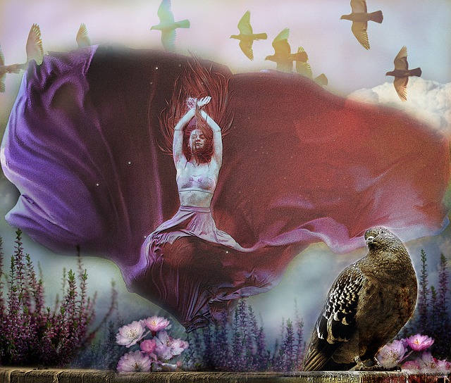 路易斯引领 路易斯引领